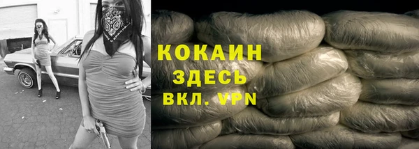 прущие грибы Карталы