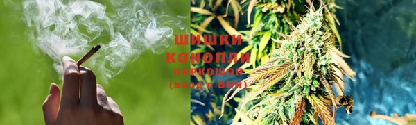 PSILOCYBIN Мурманск